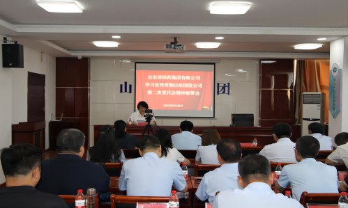 醫藥集團召開專題會議安排部署學習貫徹 山東國投公司第二次黨代會精神工作
